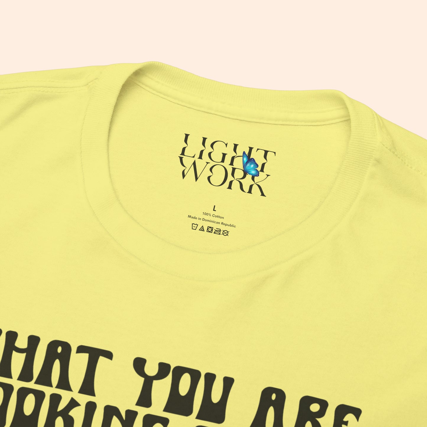 What You Are Looking For Isn't Out There Tee