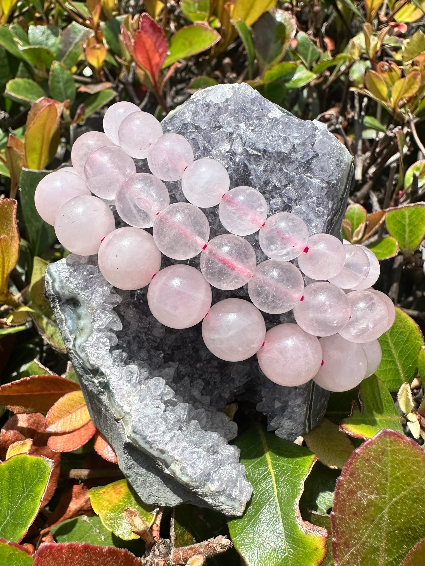 Rose Quartz Beaded Bracelet (Love)